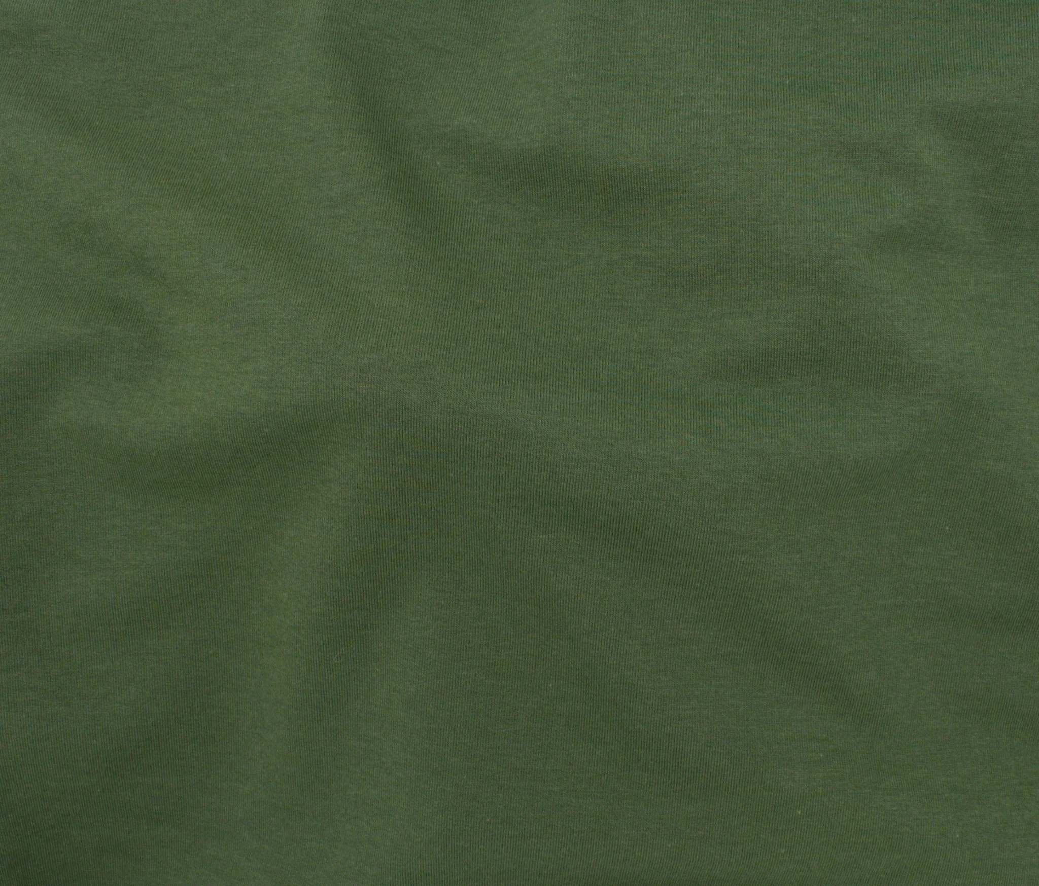Bamboo Cotton Terry - Fern