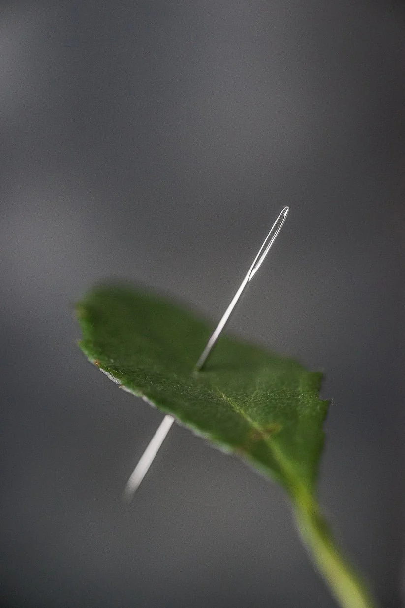 Chenille Needles - Merchant & Mills - Image 3