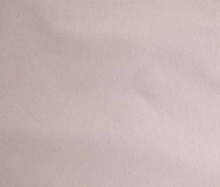 Oragnic Cotton Spandex Jersey Knit  - Mastice