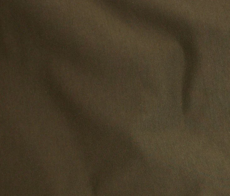Oragnic Cotton Spandex Jersey Knit  - Olive
