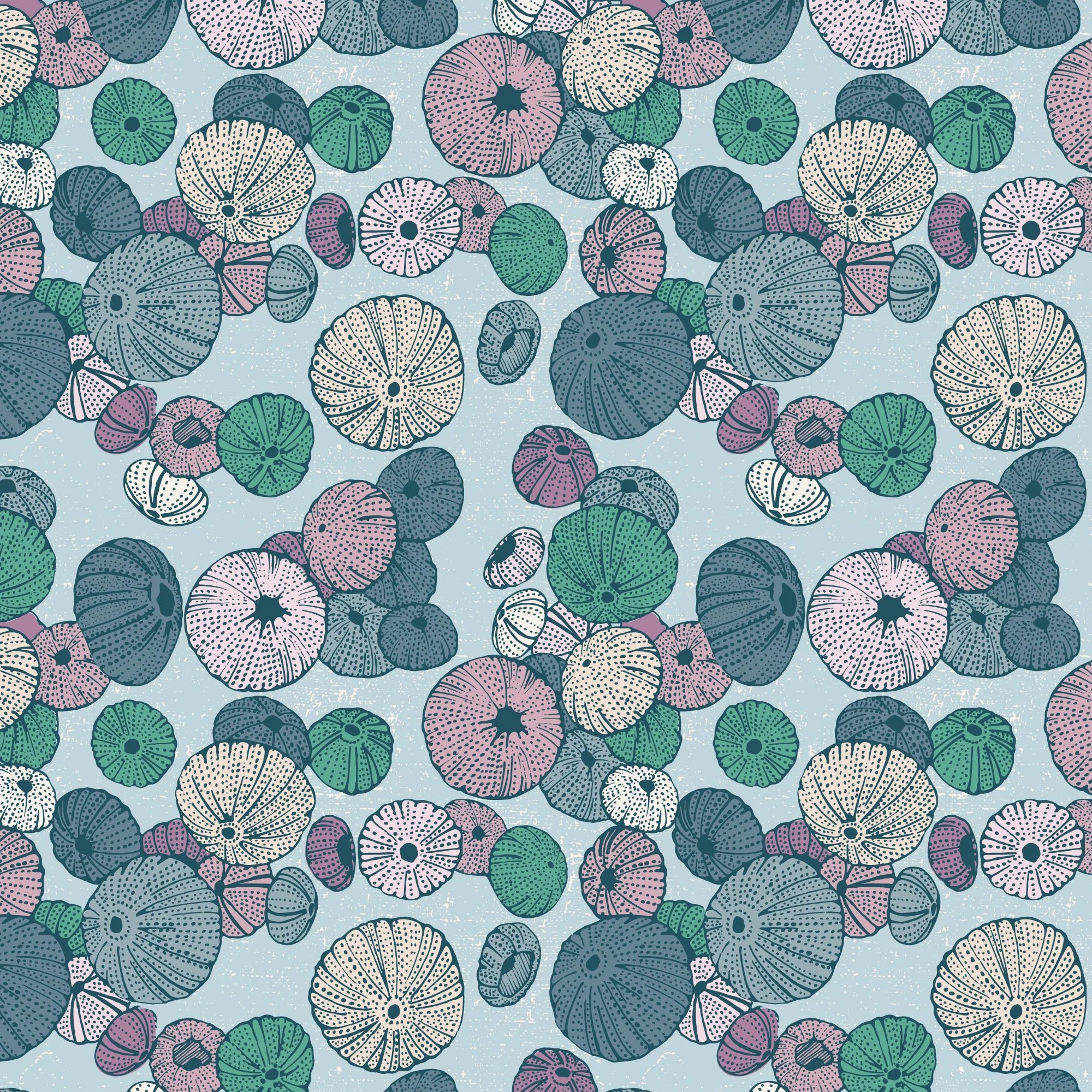 Sea Urchin - Light Blue - Seashell Serenade - Jayme Murray - Cloud 9 Fabrics - Poplin - Image 3