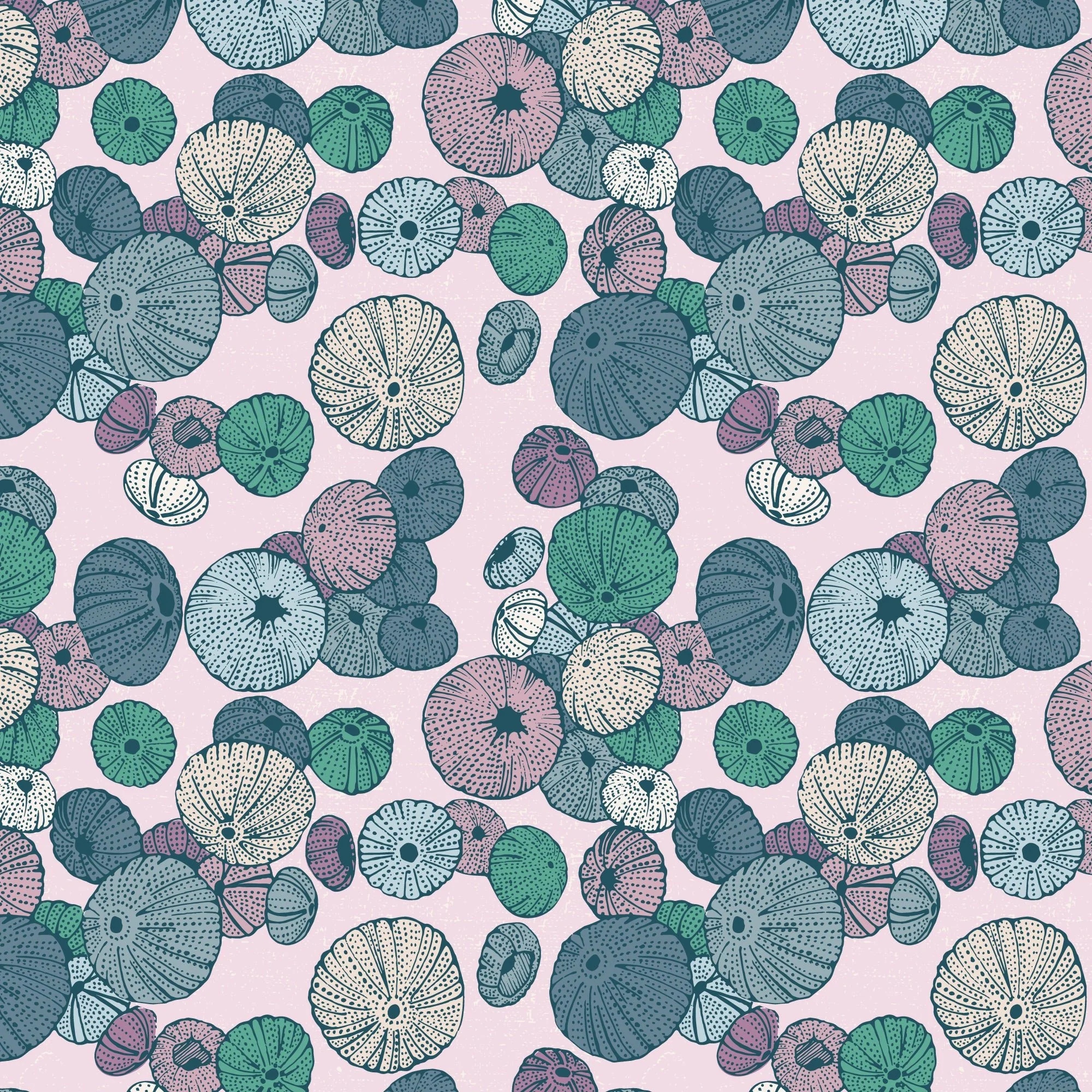 Sea Urchin - Light Pink - Seashell Serenade - Jayme Murray - Cloud 9 Fabrics - Poplin - Image 3