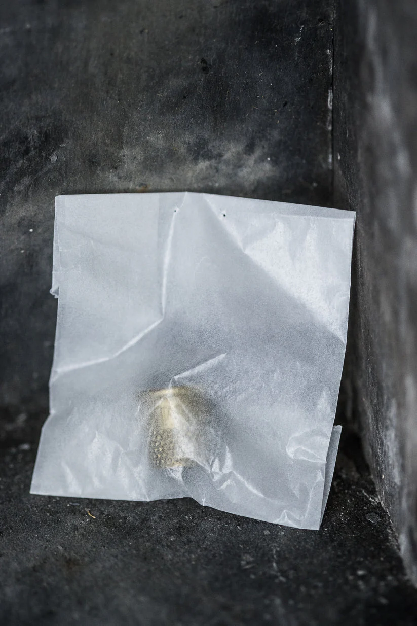 Tailor's Thimble - Merchant & Mills - Image 3