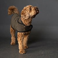 The Barka Dog Coat PDF Pattern - Merchant & Mills - Image 3