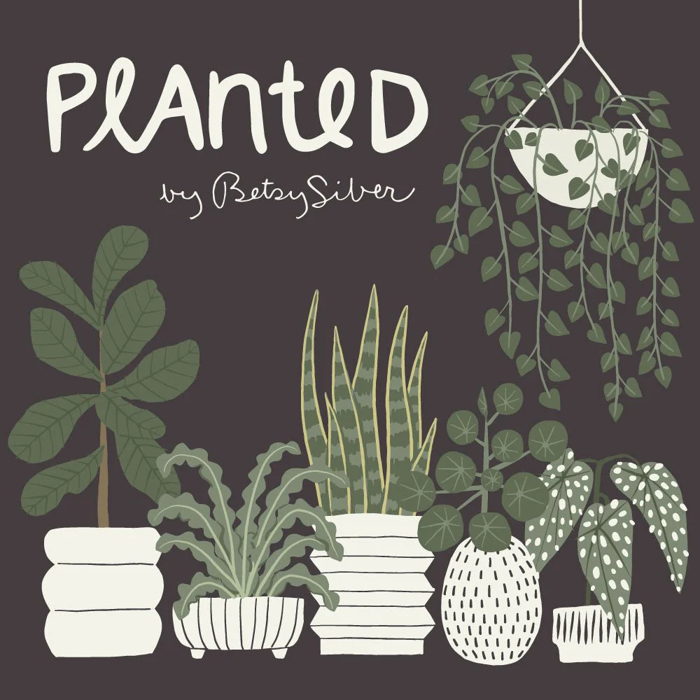 Vessels - Planted - Betsy Siber - Cloud 9 Fabrics - Poplin - Image 3